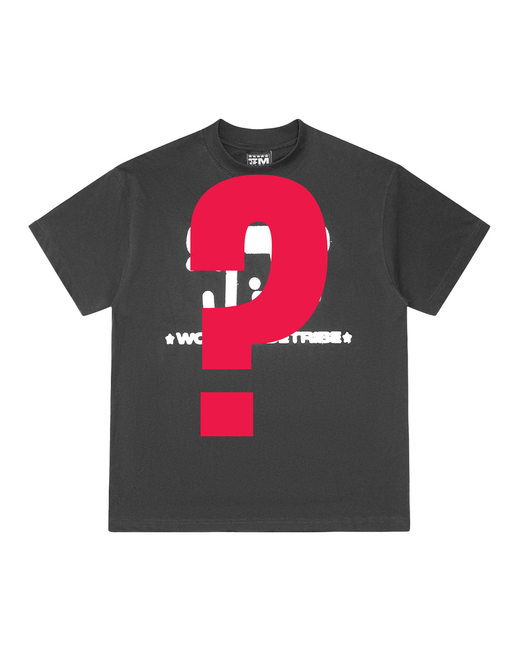 $30 MYSTERY SHORT SLEEVE TEE